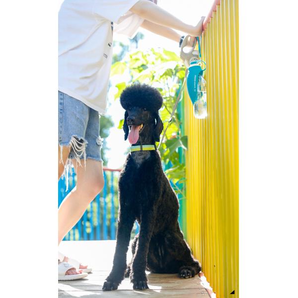 Botella portátil de agua de silicona a prueba de fugas para perros para pasear Dispensador de agua para perros