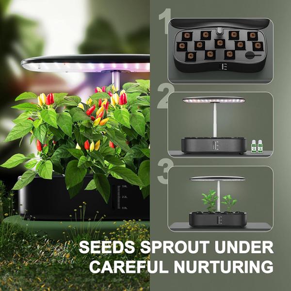 24W Indoor Herb Garden Plants Germination Kit 12 Pods with Automatic Timer Indoor Herb Garden Kit for Home Office