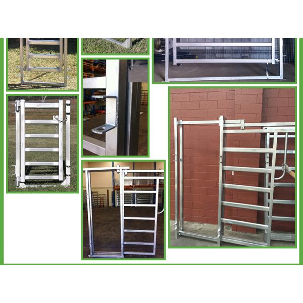 1800mm x 2100mm cattle panels oval pipes 30mm x 60mm ,40mm x 80mm