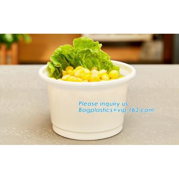 Коробка бенто пластикового устранимого пластикового взятия качества еды отсутствующая с 4 отсек, пищевой контейнер контейнеров пластиковый течебезопасный