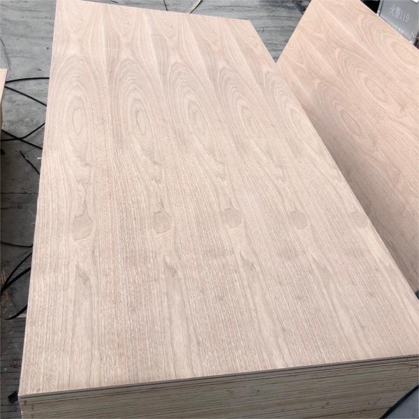 Фабричная цена Черный ореховый фанера Кабинет гардероб деревянные двери Стенная панель Декоративная панель