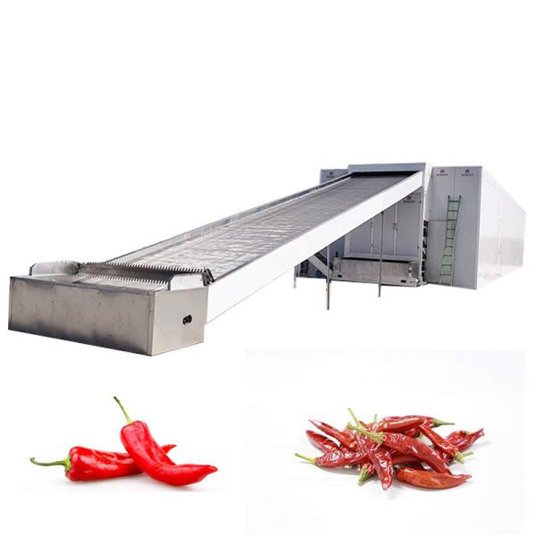 Vegetables Chili Seafood Mesh Belt Dryer Intelligent Temperature Control