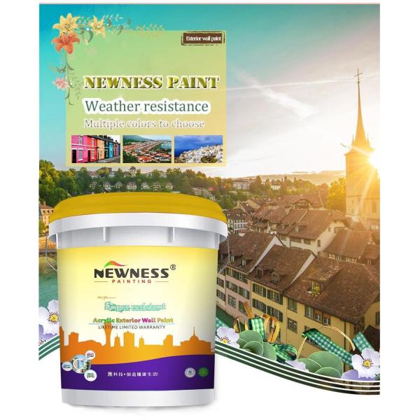 Применение настенной краски с 4-дюймовой чистой щеткой и белой деревянной ручкой