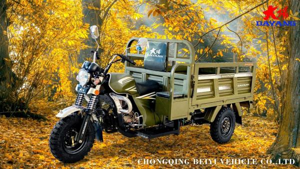 50*100 Chassis 3 Wheel Electric Tricycle Motorcycle nas Filipinas com assento de passageiro