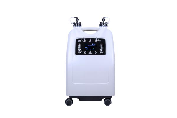 Hot sale Medical 10L Household double flow oxygen generator & home use Oxygen Concentration