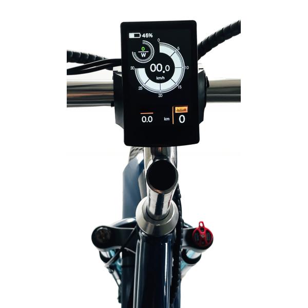 Front Hub Motor Electric Rickshaw with 48V 750W 17AH Lithium Battery and Big Fat Tire