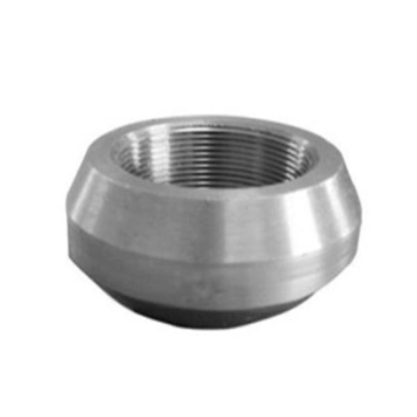 Stainless Steel Ss304/316 Olet Pipe Fittings Forged Fittings Threaded Olet ASME B16.9