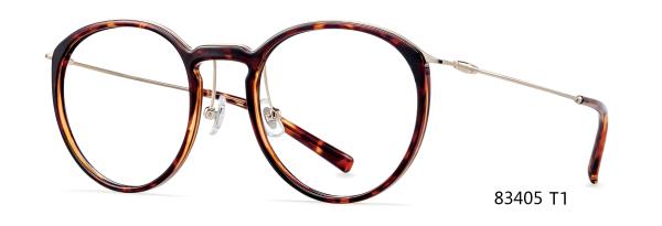 Parim Plastic Big Round Glasses Frames With Metal Temple
