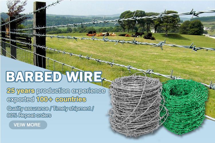 2.5mm Galvanized Anti Climb Barbed Razor Wire for Protective Construction