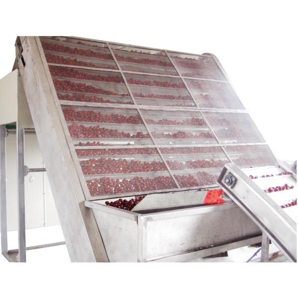 410V Belt Drying Equipment Automatic Fruit Vegetable Conveyor Dryer Machine