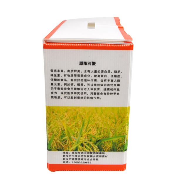 Caixa Coroplast de Kiwi Vegetable Corrugated Boxes Polypropylene