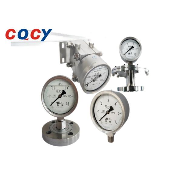 ExdIIBT4 YTH-100 Pressure Instrument
