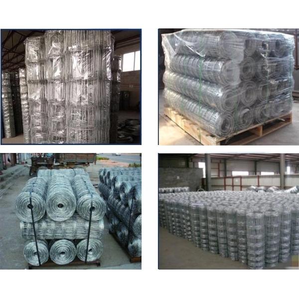 High Security Metal Cattle Fence , Rodent Proof Wire Deer Fence Water Resistant