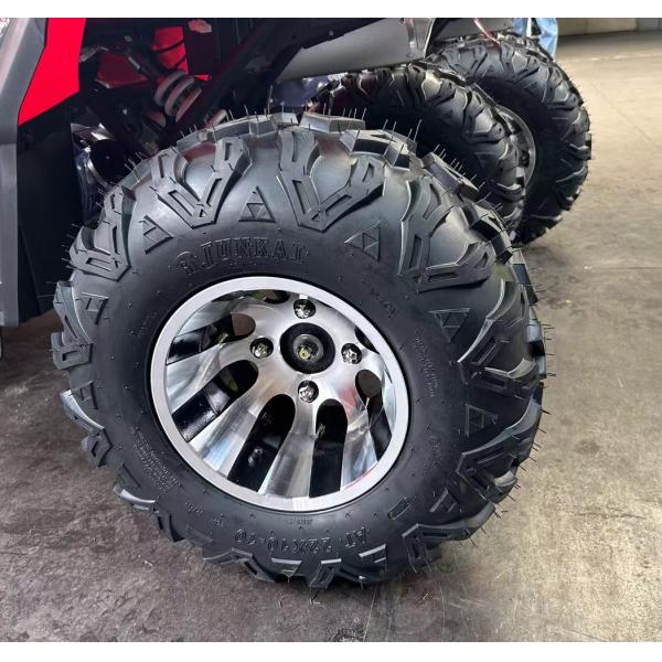 Four-wheel Drive Adult 200cc 250CC Automatic Motorcycle ATV with High Voltage 12V