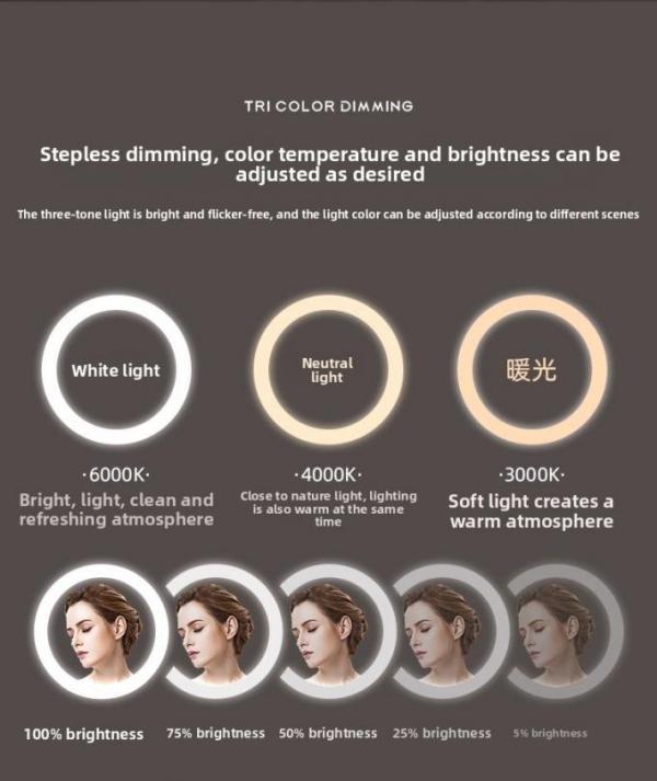 Modern Luxury Smart LED Vanity Mirror Oval Framed with Touch Switch Wall-Mounted Makeup Mirror for Salon Hotel Apartment