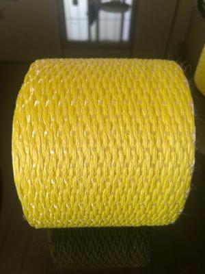 Moisture Proof PP Lifting Loops Color Customized Virgin Polypropylene Lifting Belts