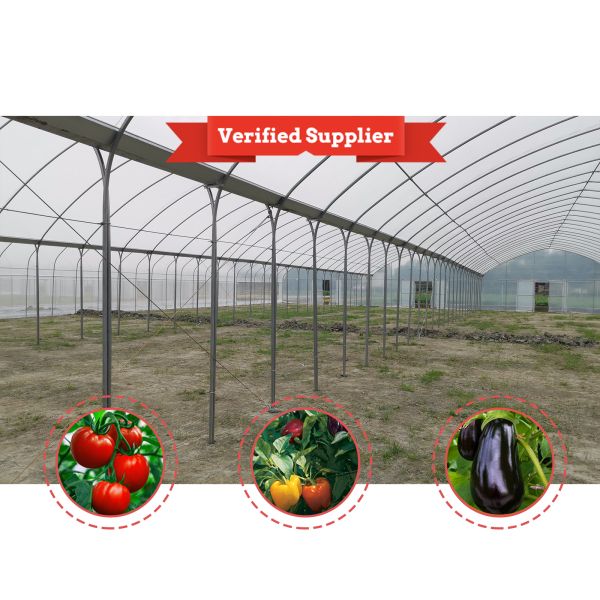 Single Layer Rain Shelter Greenhouse with Small Spire Top or Round Top for Grape and Cherry Cultivation