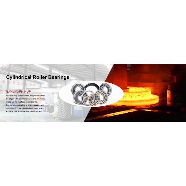 High Speed Cylindrical Roller Bearing Nu216e Nu217 Nu217e Nu218