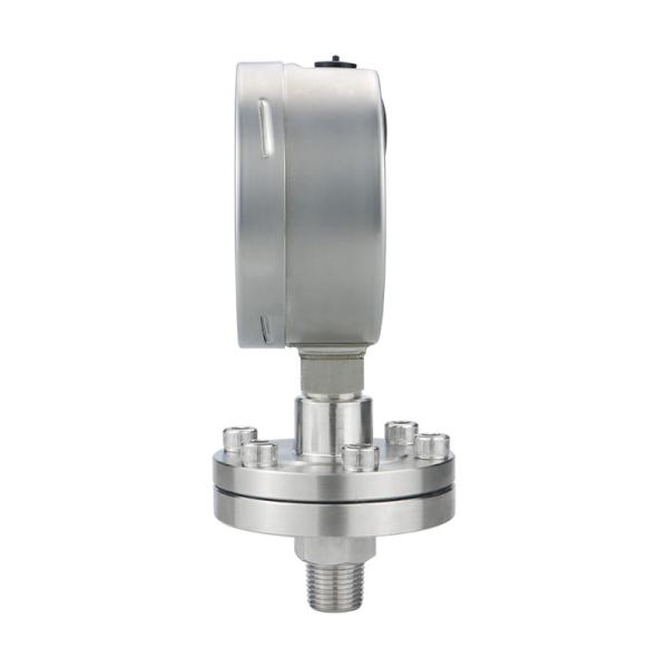 Thread G Connection 304 Stainless Steel Diaphragm Pressure Gauges for Hydraulic System