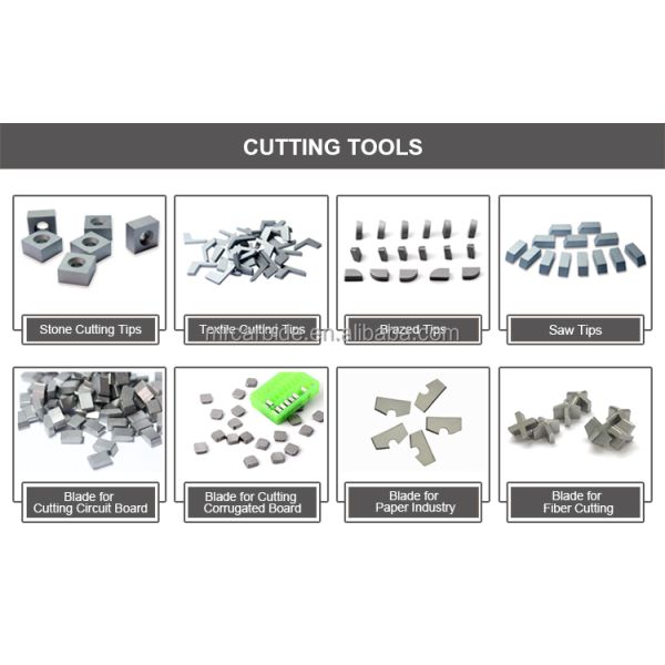 High Precision ML100 Grade Polished Tungsten Carbide Cold Heading Dies Punching Forging Dies Mold Bolts Nails Fasteners RIXIN