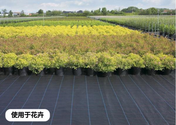 Cobertura de solo de tecido geotêxtil tecido Pe para paisagem 50-100 g/m² para controle de ervas daninhas