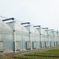 Tropical Climate Multi-span Wind Resistant Poly Tunnel Sawtooth Greenhouse