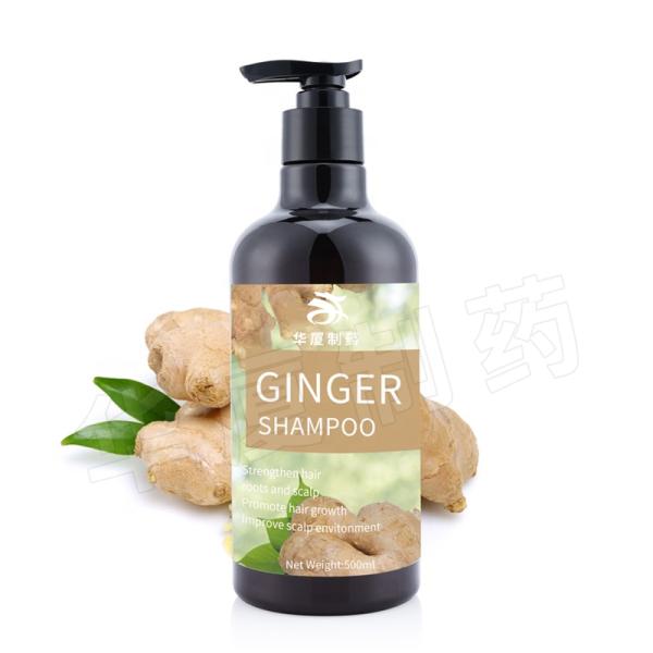 Ginger Shampoo For Hair Growth Anti Hair Loss Anti Dandruff Private Label