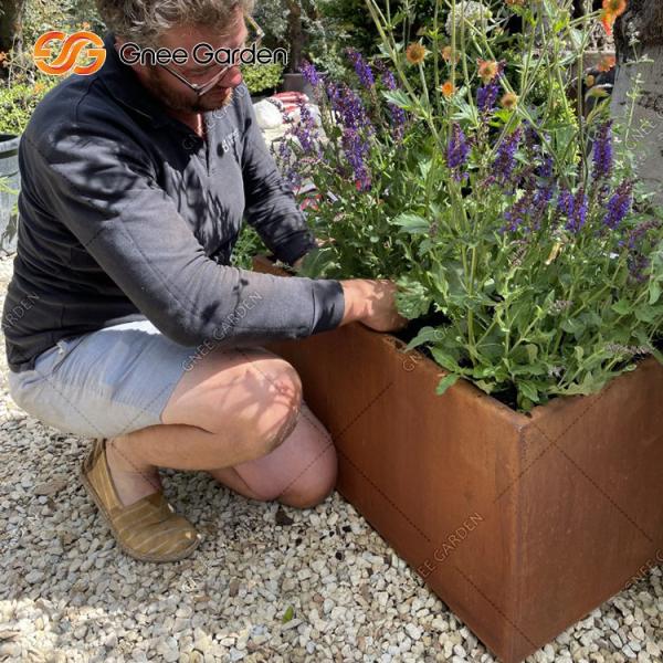 1200*500*600mm Corten Steel Vegetable Planters Rusted Metal Planter Boxes
