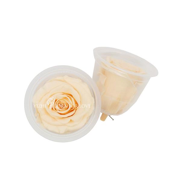5-6cm Eternal Everlasting Preserved Rose Heads A Grade