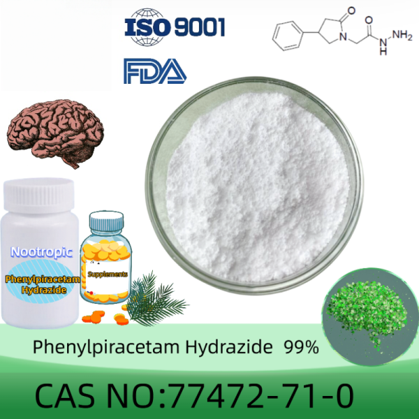 99% High Purity Phenylpiracetam Hydrazide Powder CAS 77472-71-0 Phenylpiracetam