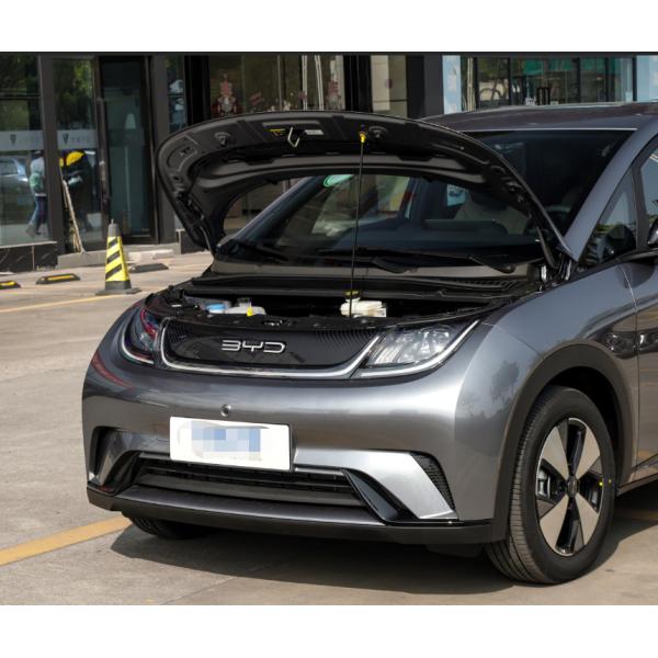 Автомобиля хэтчбека места версии 5 дельфина 2023 BYD электрическое 420KM свободного чистое