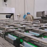High-capacity Dates Sorting Machine, Computer Control, 6 lanes+10 outlets, 1.8 Tons per hour, High Precision