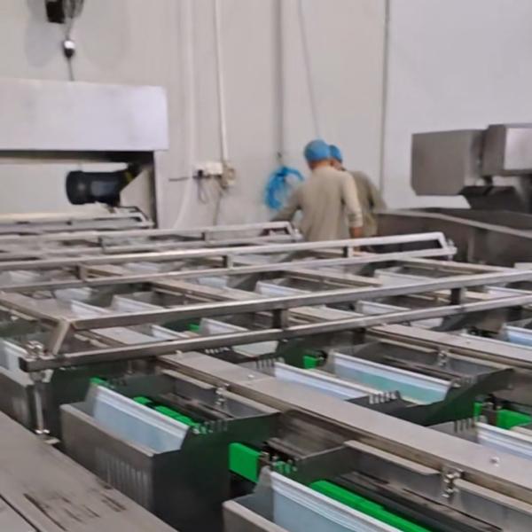 高容量日付分類機,コンピュータ制御,6レーン+10出口,1時間あたり1.8トン,高精度