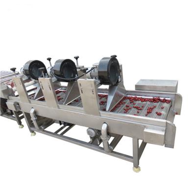 Máquina de lavar frutas e vegetais da cozinha central linha de produção de processamento de alimentos vegetais limpos
