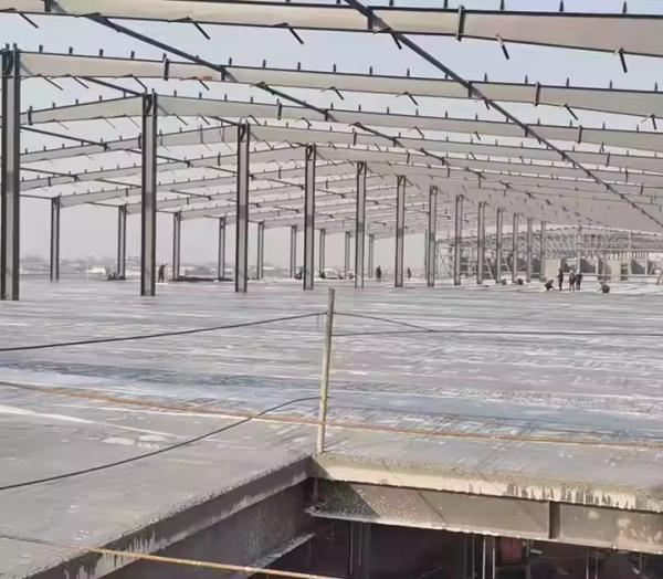 Low-cost  Steel Structure Buildings High-quality