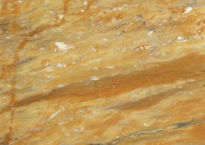 marble color prepainted Steel Coil