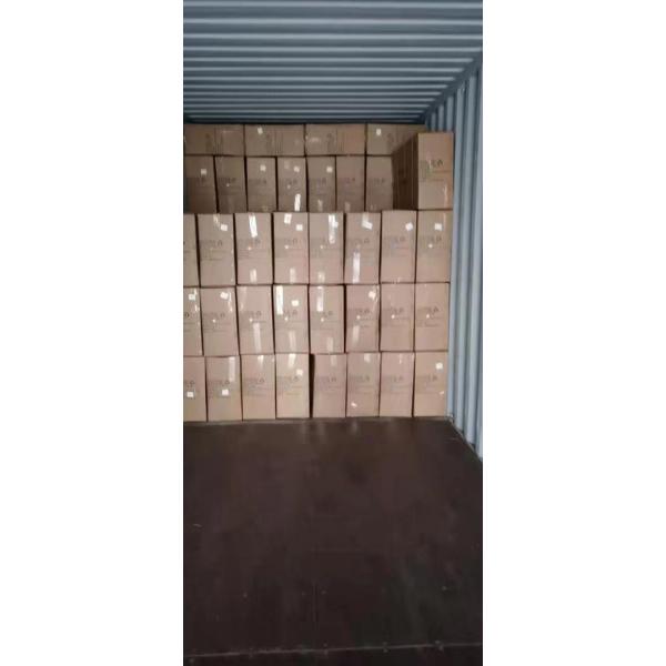 Two Seats Electric Go Cart with Front Disc Rear Disc Brake System and 60V Voltage