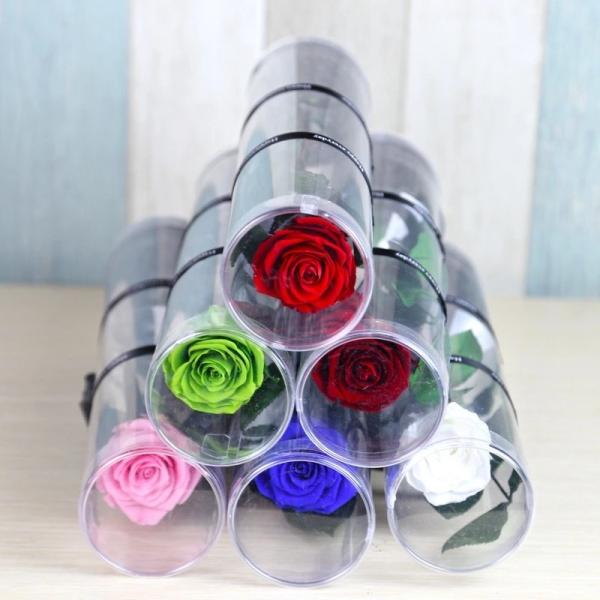 Wholesale fresh preserved roses with long stems Decorative Flowers