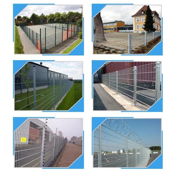 Low Carbon Steel Twin Wire Fence , Vinyl Coated Wire Fence 50 X 200 mm