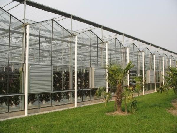 Large Aluminum Frame Glass Greenhouse High Transmission Rate For Exhibition