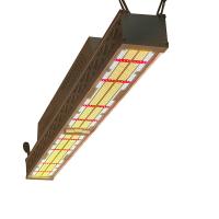 600w 2 canales Invernadero LED Crecer luz Invernadero crecer lámparas 100-277VAC 50/60Hz