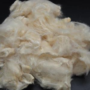 Fibra de proteína de soja respirável sabor suave Fibra de soja orgânica