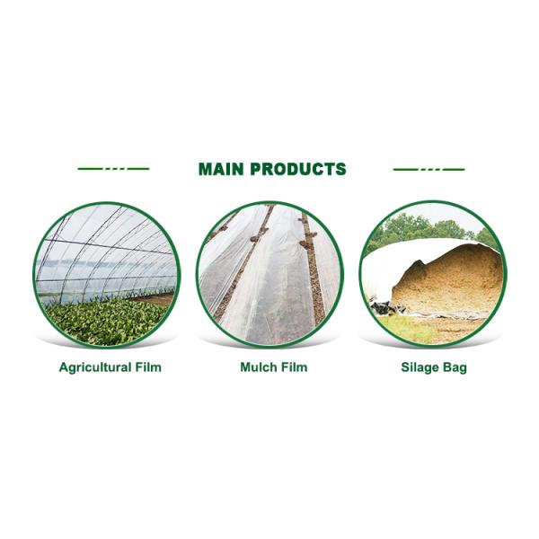 COEX LDPE Mulching film, pe film, horticultural mulch film, garden perforated ground film Agricultural plastic film Blac