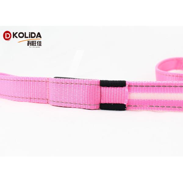 LED Pet Accessories Nylon Solid Safety Glow Dog Leash With Flashlight