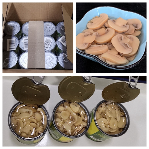 Законсервированный солью гриб Champignon
