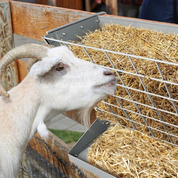 Сенокормитель Стенная установка свободно стоящая тяжелая овца сенакормитель Кормильщик для скота с тарелкой для минеральных зерновых