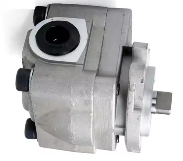 Excavator E312C Gear Pump SBS80 Hydraulic Pilot Oil Pump 4I-1023 173-1203 341-2860 Charging Pump 4I1023 1731203 3412860