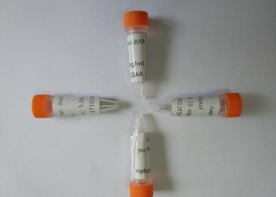 High Performance Mouse Monoclonal Antibody To Anti-Barbiturates ISO13485 CE