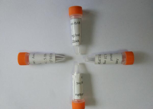 High Performance Mouse Monoclonal Antibody To Anti-Barbiturates ISO13485 CE