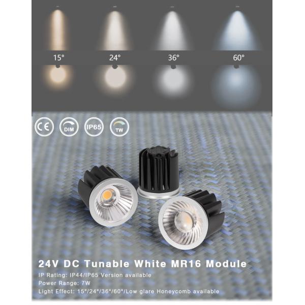 Low Voltage White MR16 Module 2700K-6500K Tunable Spotlight Module